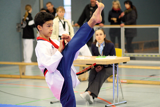 Taekwondo-Verband Schleswig-Holstein e.V.