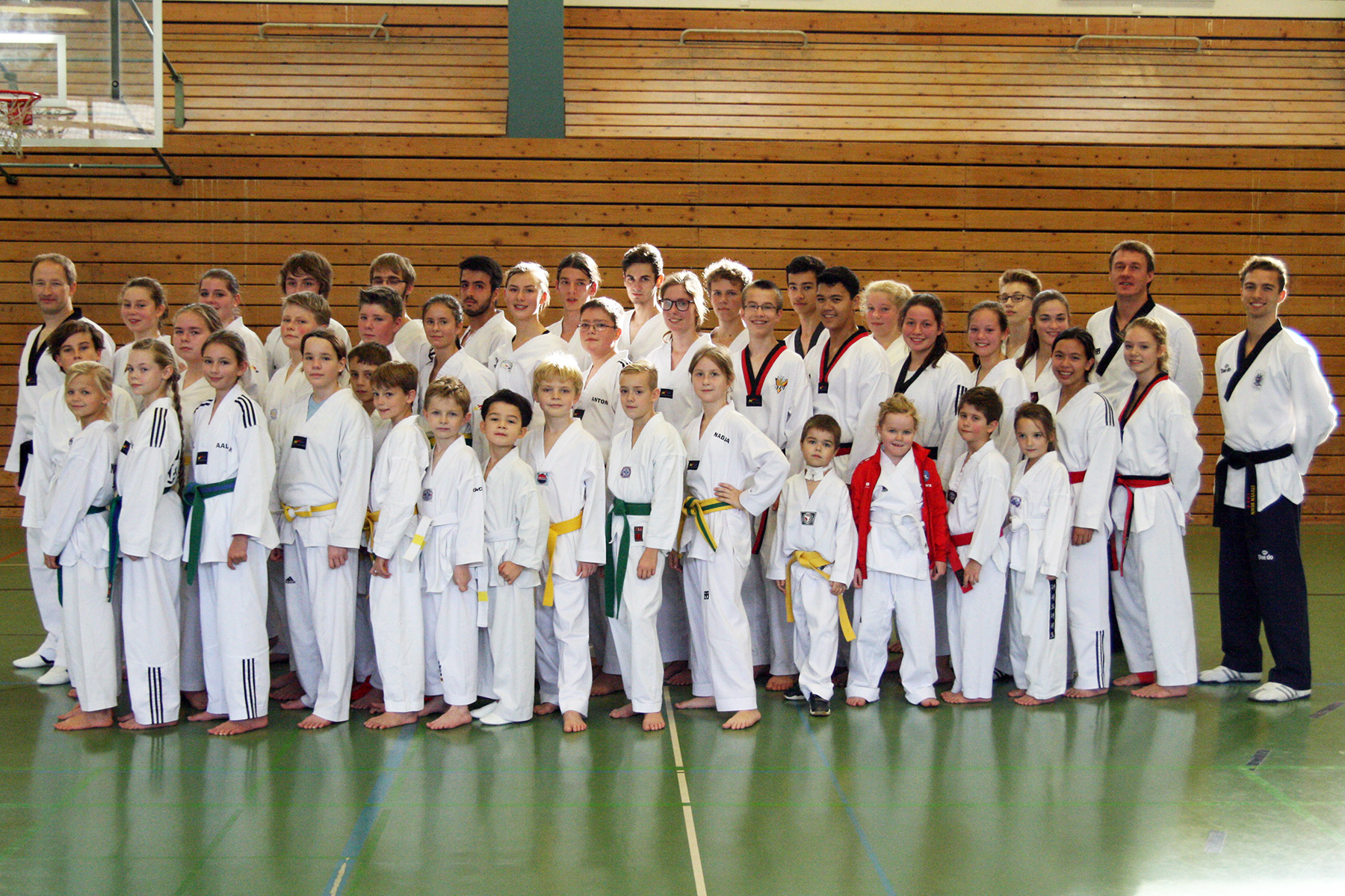 Taekwondo-Verband Schleswig-Holstein e.V.